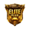 Elite Pass Plus (1-100 LVL)