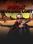 Postal 2 Paradise Lost Steam Global