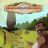 Standard