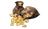 2.999 Монет