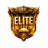 Elite Pass (1-100 LVL)