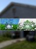 HOUSE & GARDEN FLIPPER