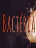 Bacteria