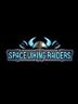Space Viking Raiders