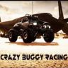 Crazy Buggy Racing