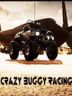 Crazy Buggy Racing