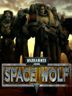 Warhammer 40,000 Space Wolf