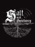 Salt and Sanctuary