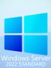 Server 2022 Standard Microsoft