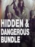Hidden & Dangerous