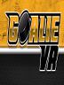 Goalie VR