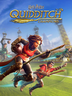 Harry Potter Quidditch Champions