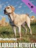 theHunter Call of the Wild Labrador Retriever