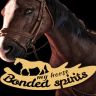 My Horse Bonded Spirits