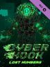 Cyber Hook Lost Numbers