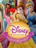 Disney's Princess Enchanted Journey