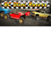 RC Mini Racers