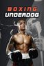 Boxing Underdog VR