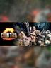 CONTRA ROGUE CORPS