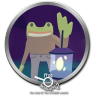 Frog Detective 2 The Case of the Invisible Wizard